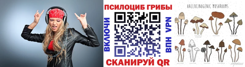 сколько стоит  Курган  Галлюциногенные грибы MAGIC MUSHROOMS 
